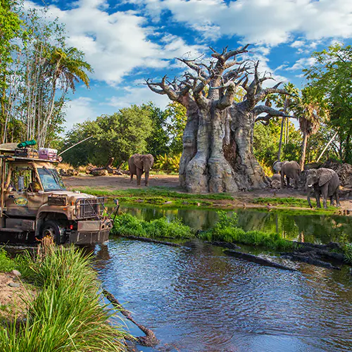 kilimanjaro-safaris