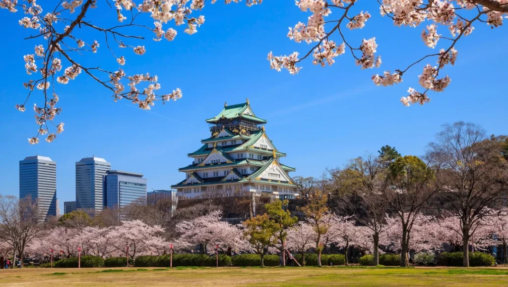 cruise-to-osaka-japan1