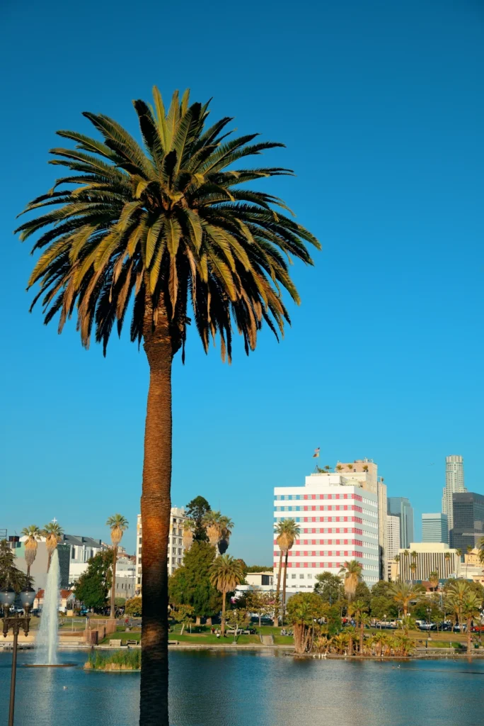los-angeles-downtown-park-view-with-palm-trees