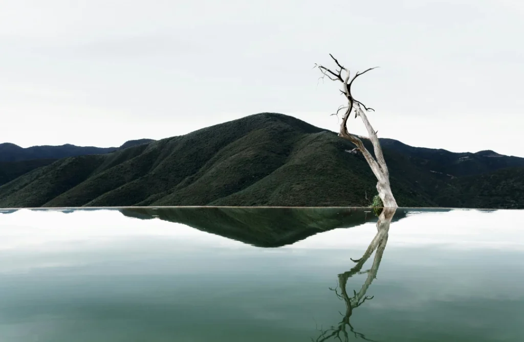 pexels-diana-reyes-227887231-33601904